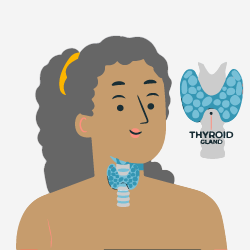 Thyroid