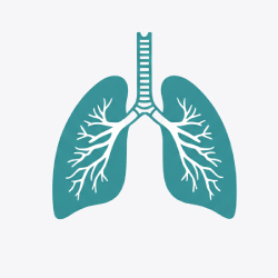 Lung Health